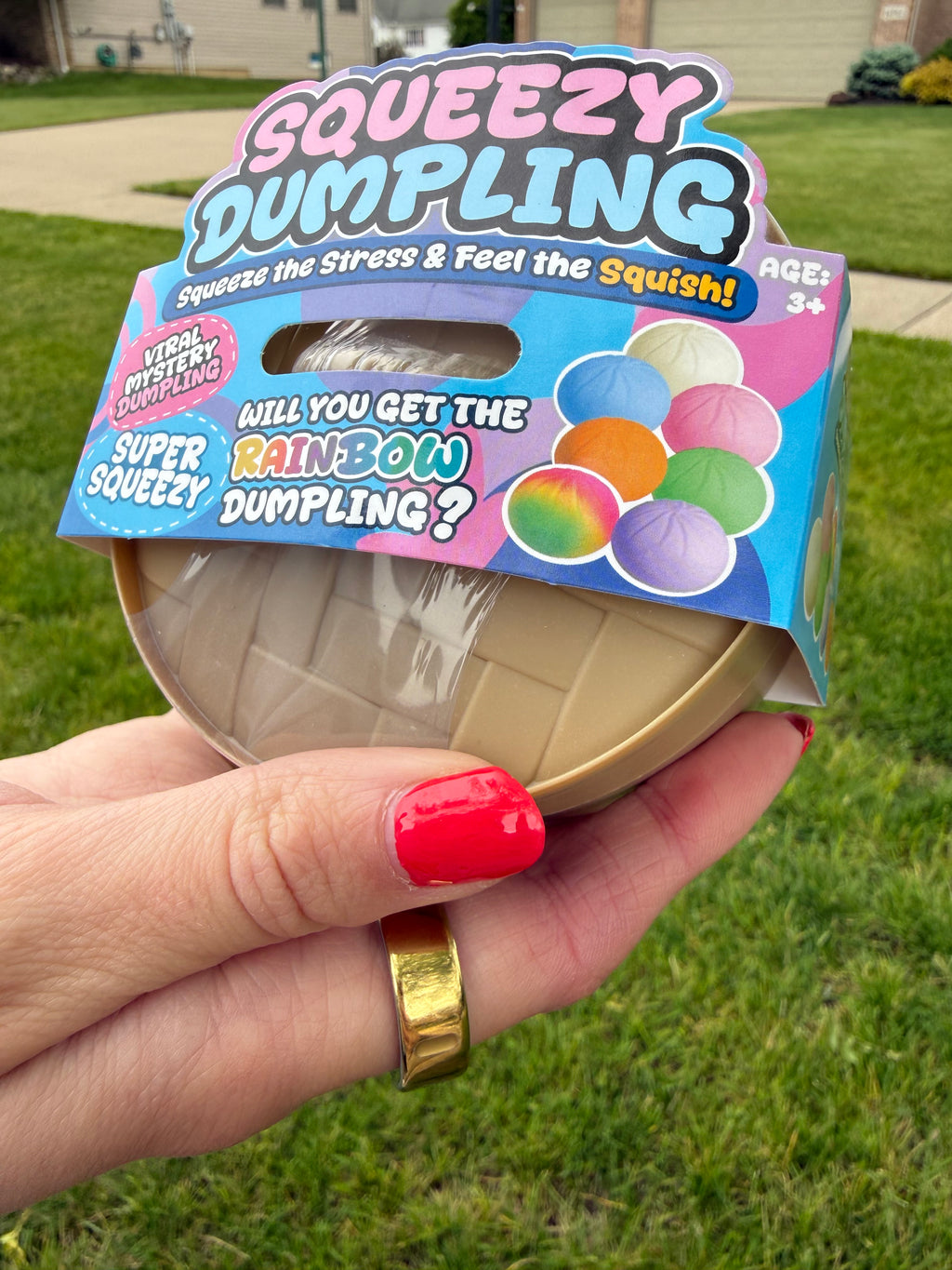 Squeezy dumpling (MYSTERY!)
